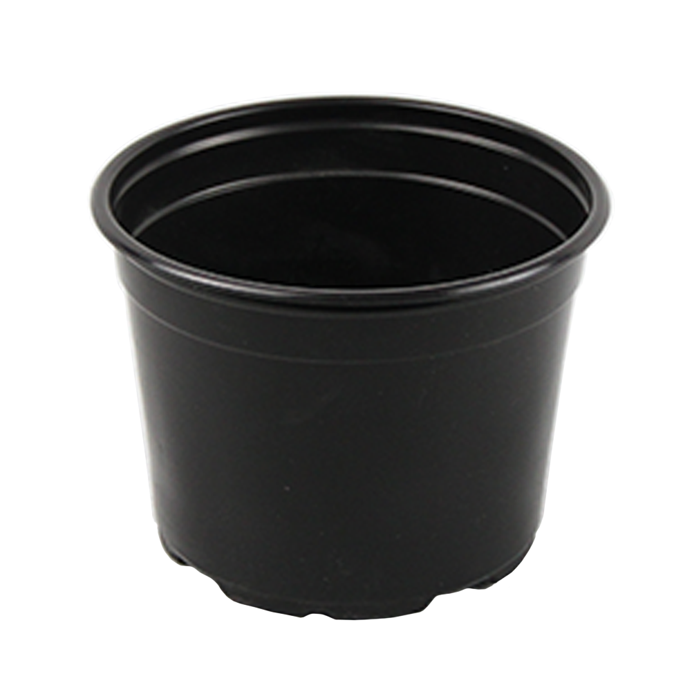 5" Pot