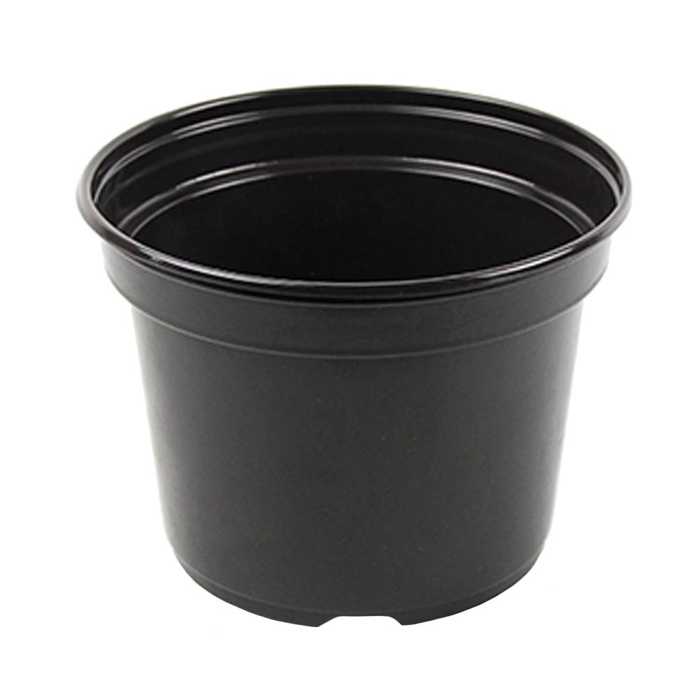 7.5" Pot