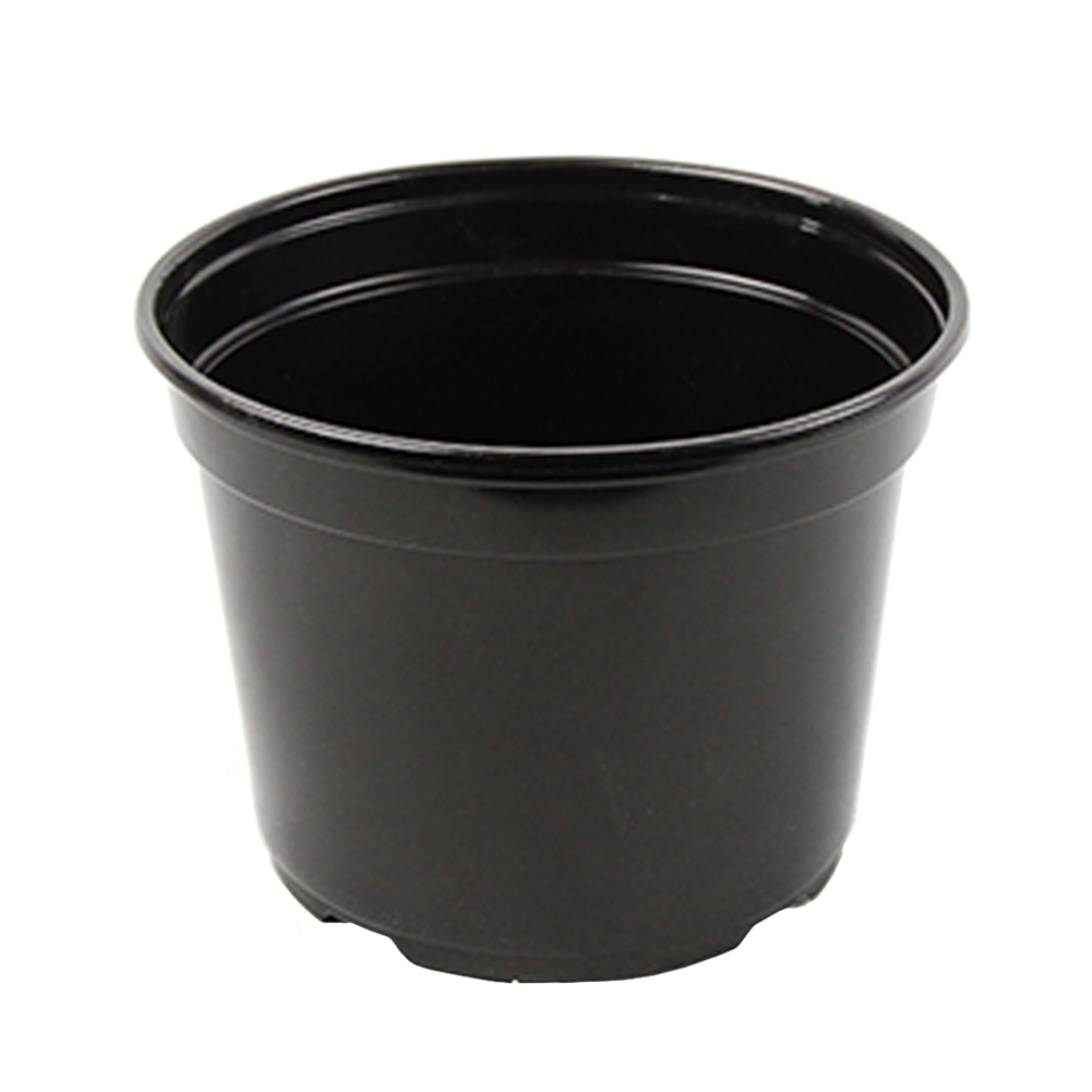 8" Pot