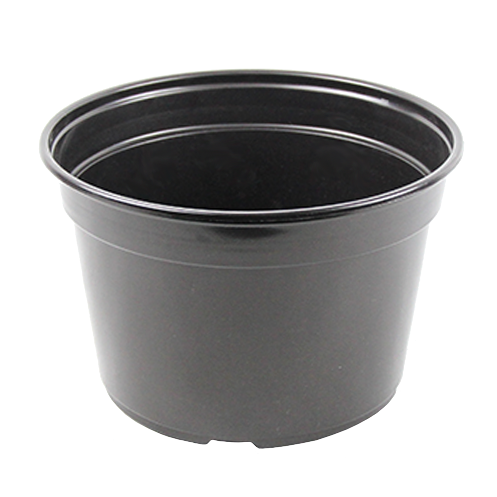 9" Pot