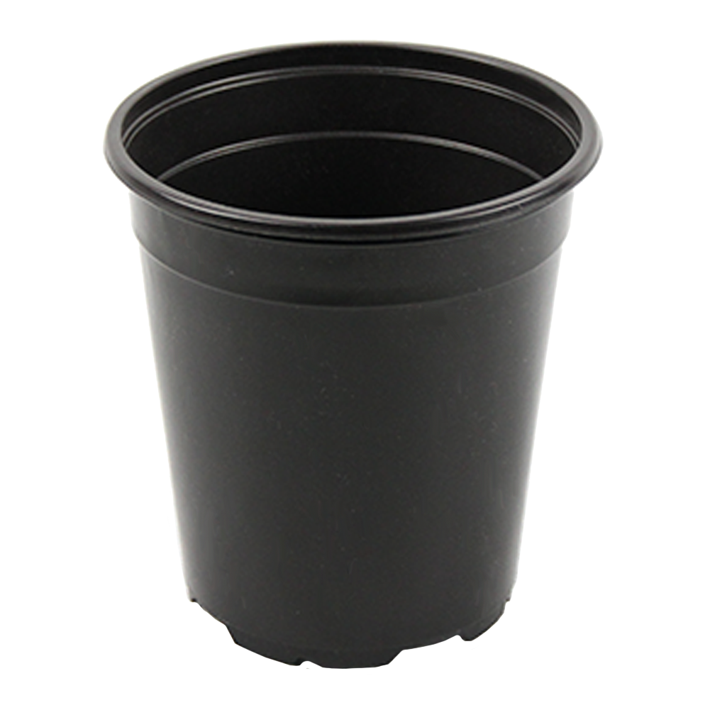 SP433D-1.png