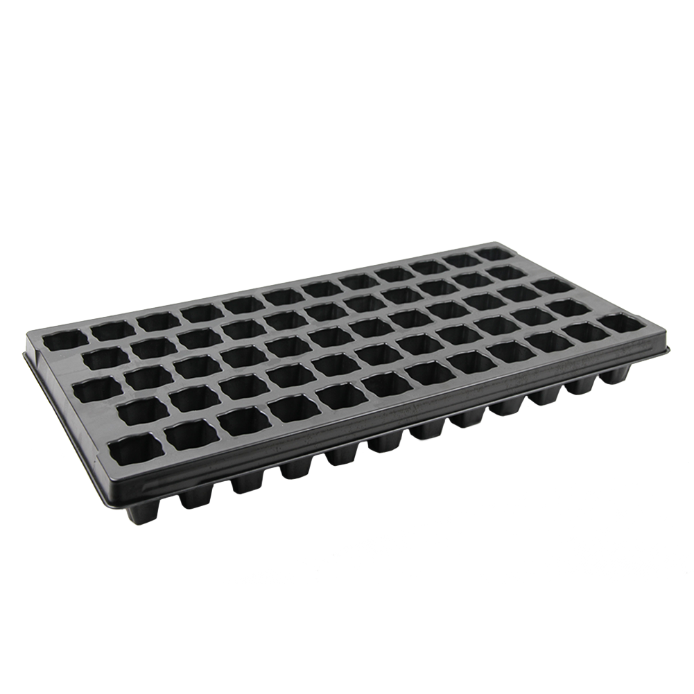 58N.png