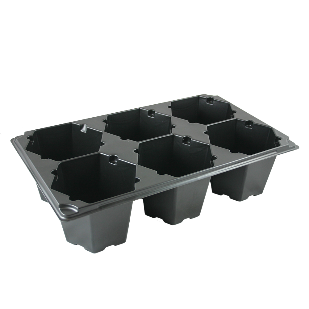 Six 6" Cells