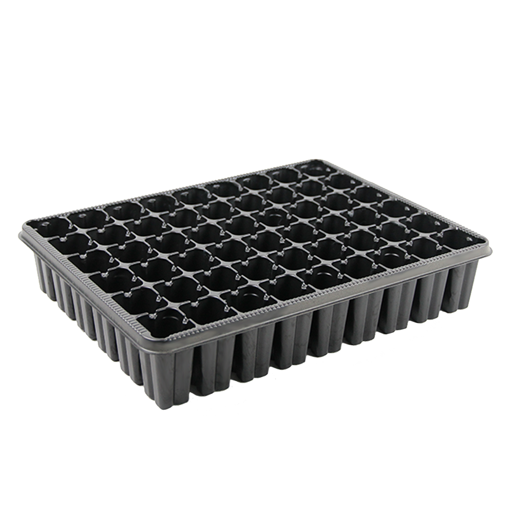 54 Square Cell