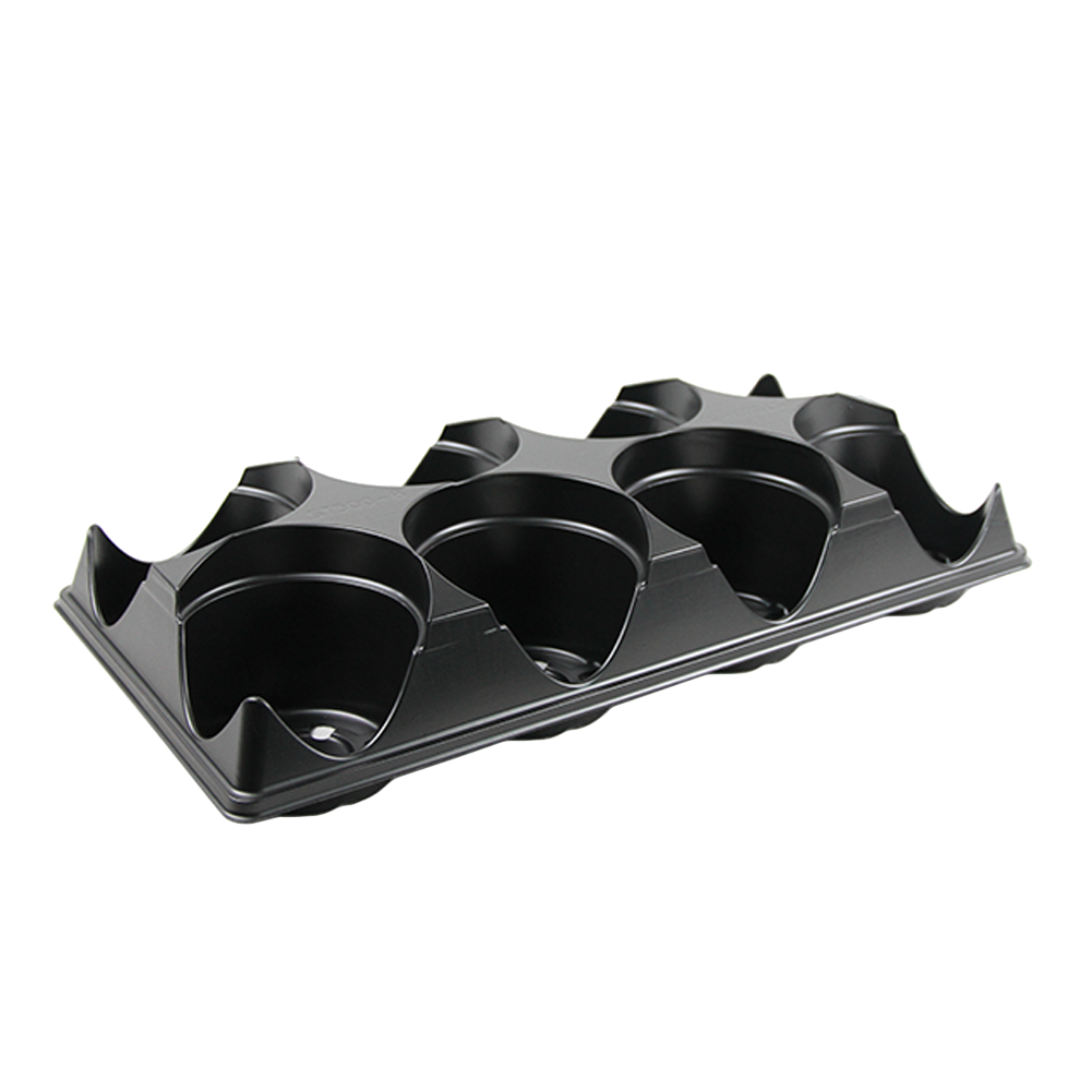 8 Count Tray