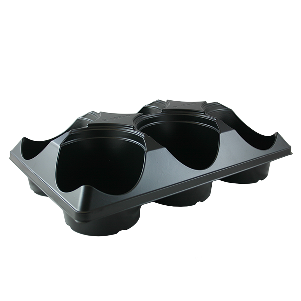 6 Count Tray