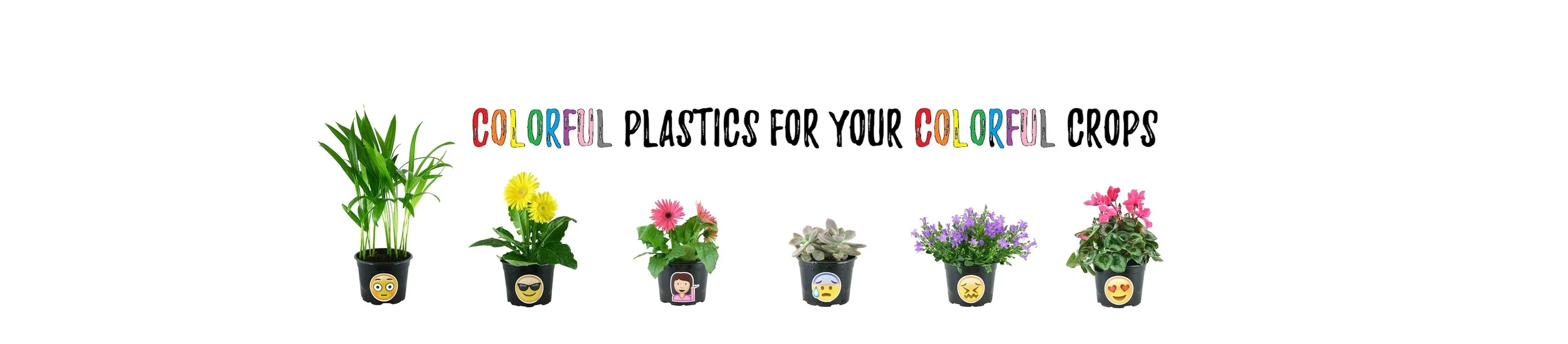 Emoji Banner.jpg