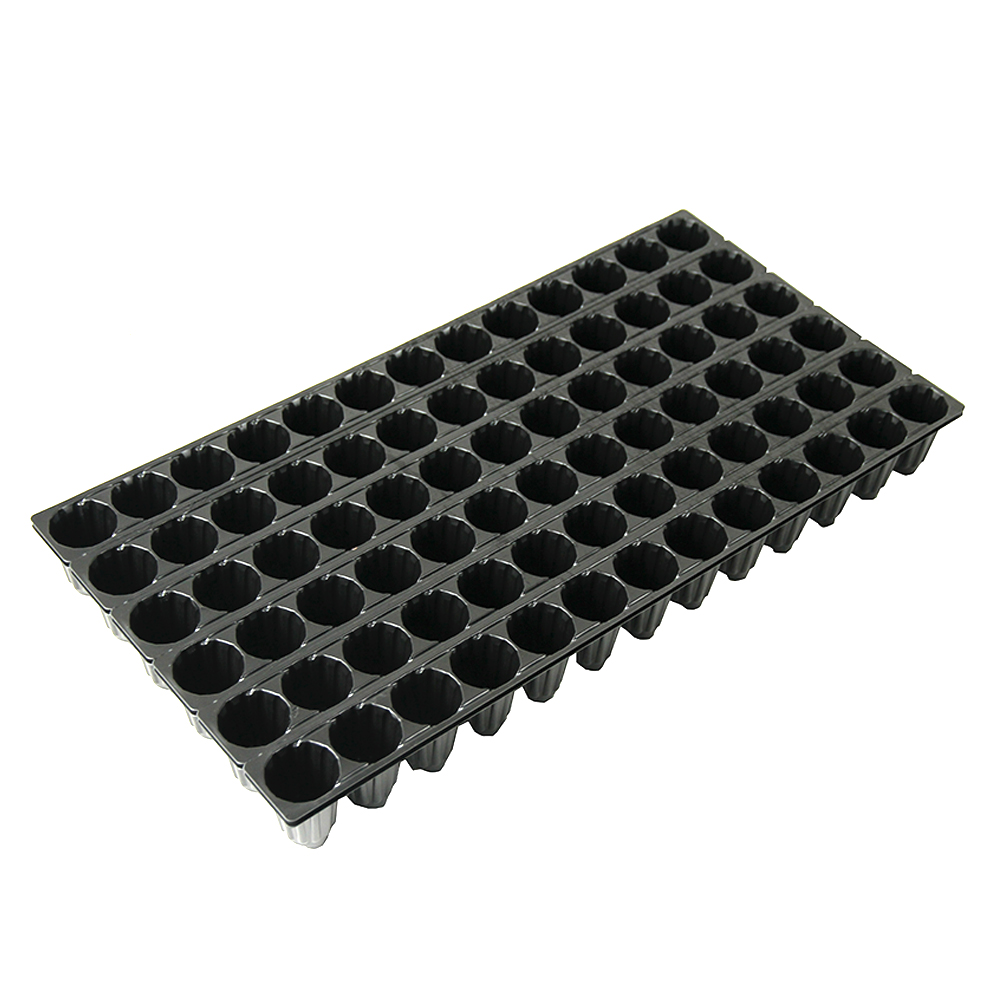 78I.jpg
