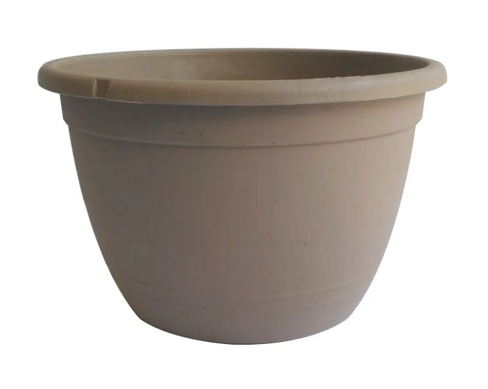 Classic Hanging Basket
