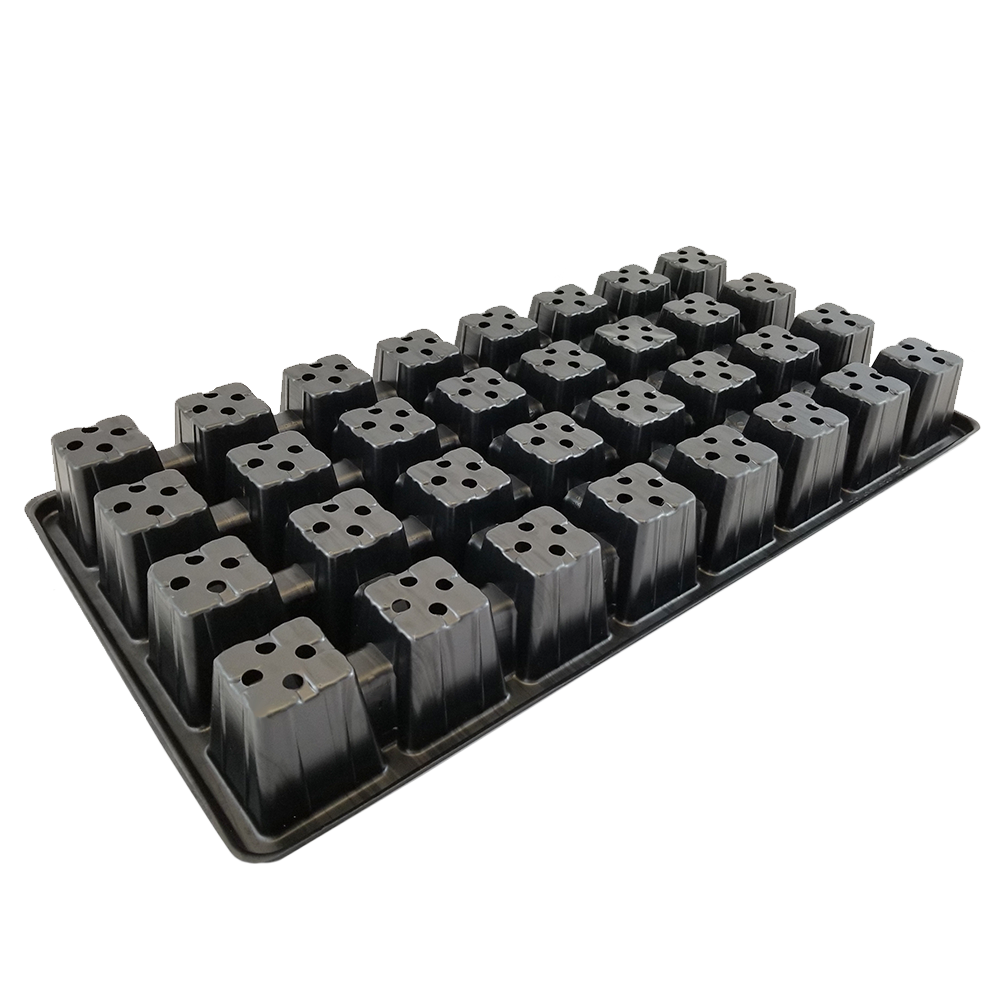 SCT250-32 b.png