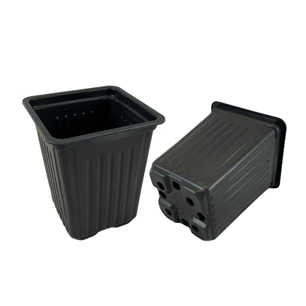 3.25" Square Pot