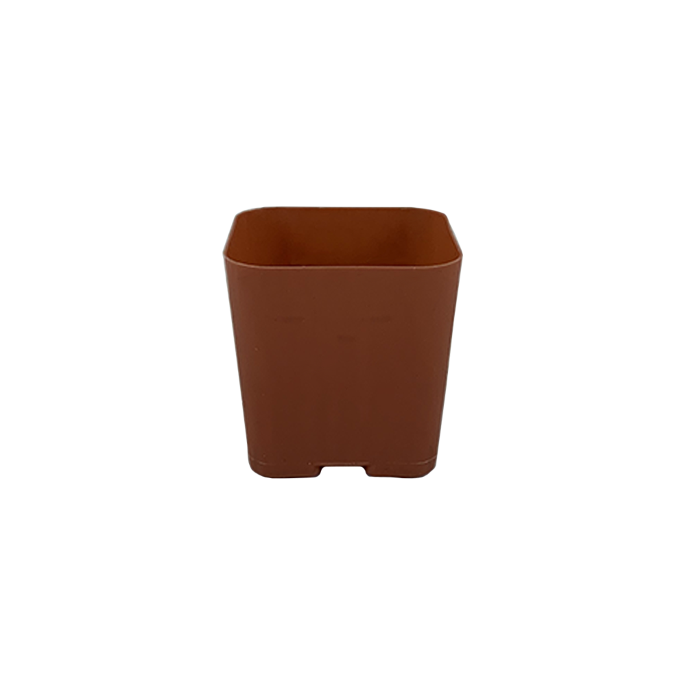 2" Pot