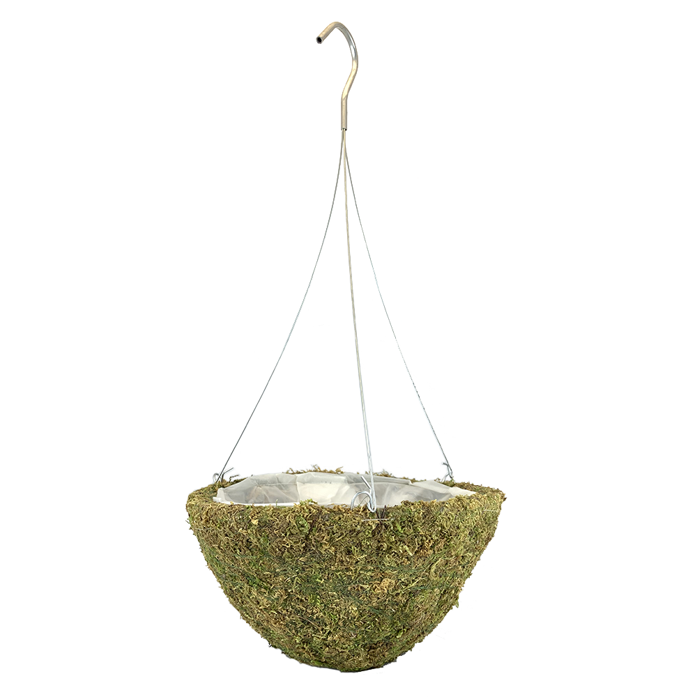 12" Hanging Basket