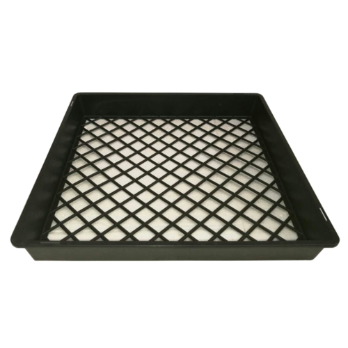 17 x 17