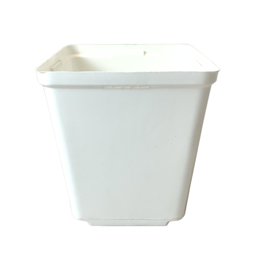 5.5" Pot with Tag Slots