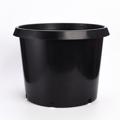 20 Gallon