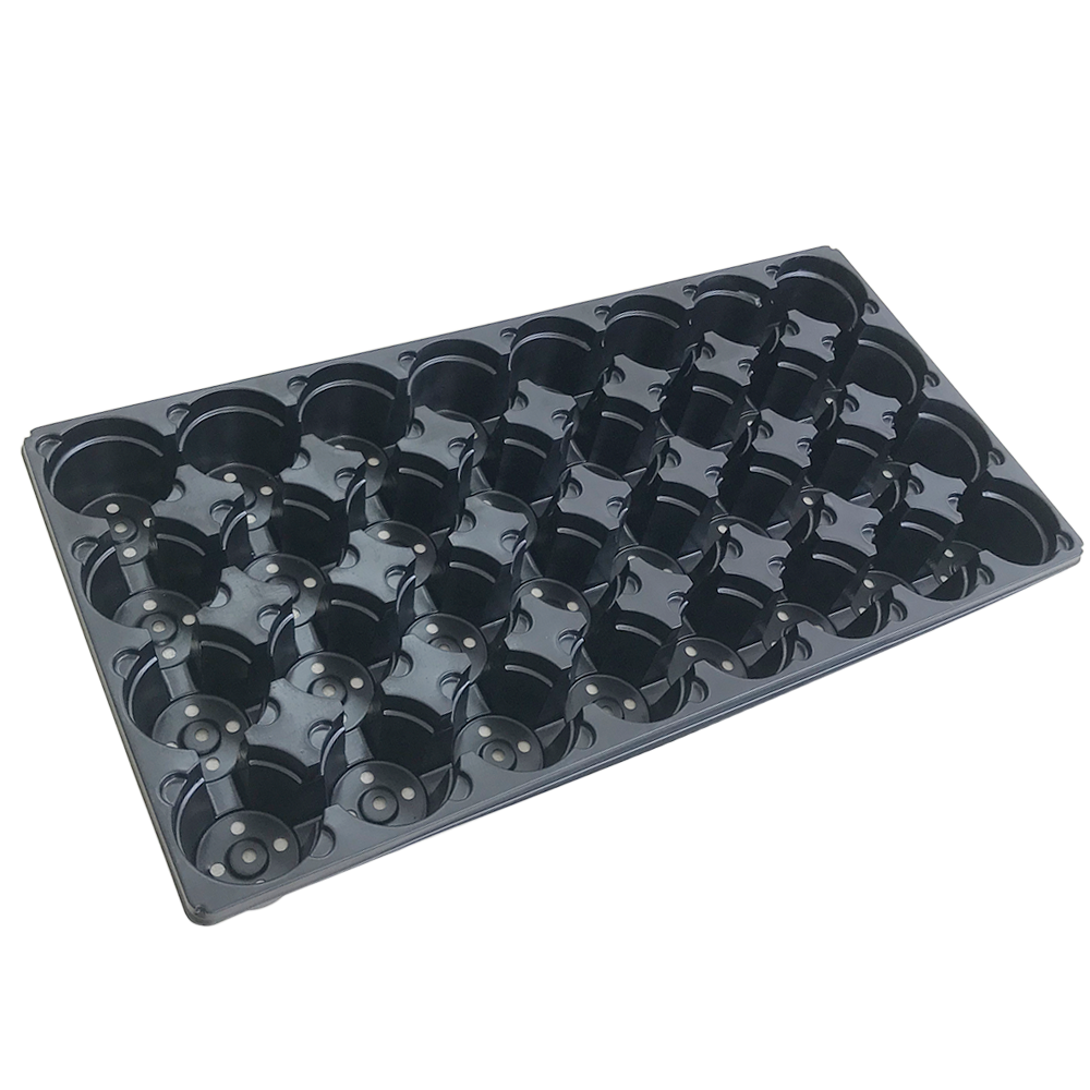 32 Count Tray