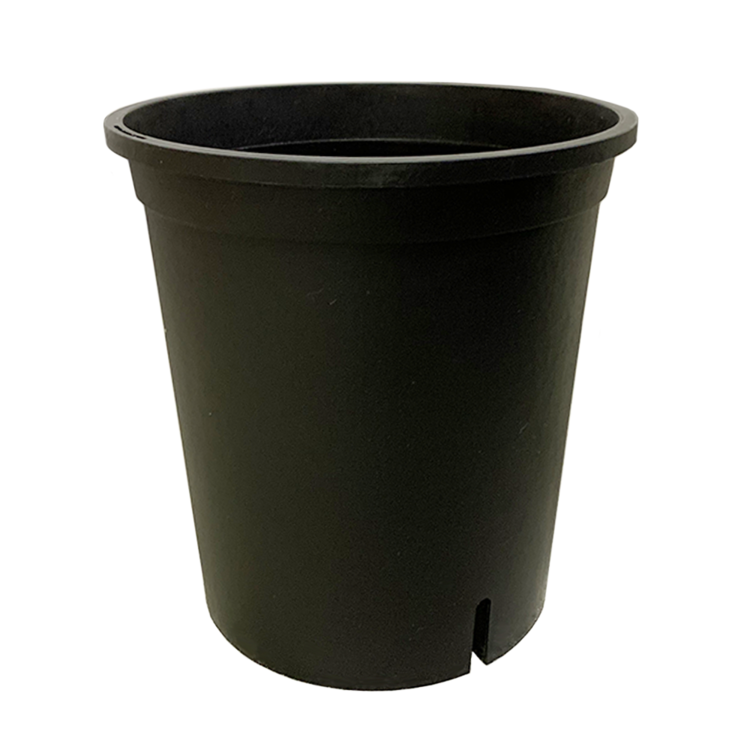 6.3" Pot (Trade Gallon)