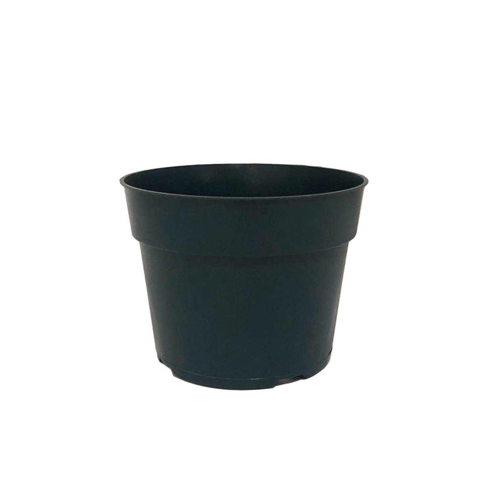 4" Pot