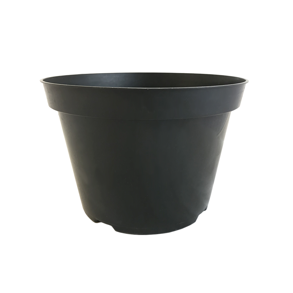 8" Pot (cage option available)