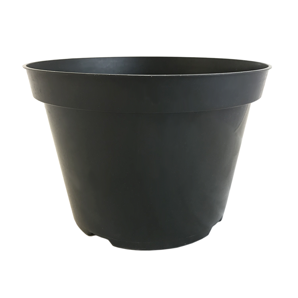 10" Pot