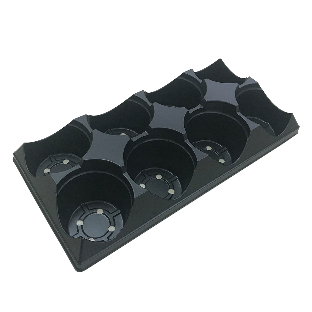 8 Count Tray