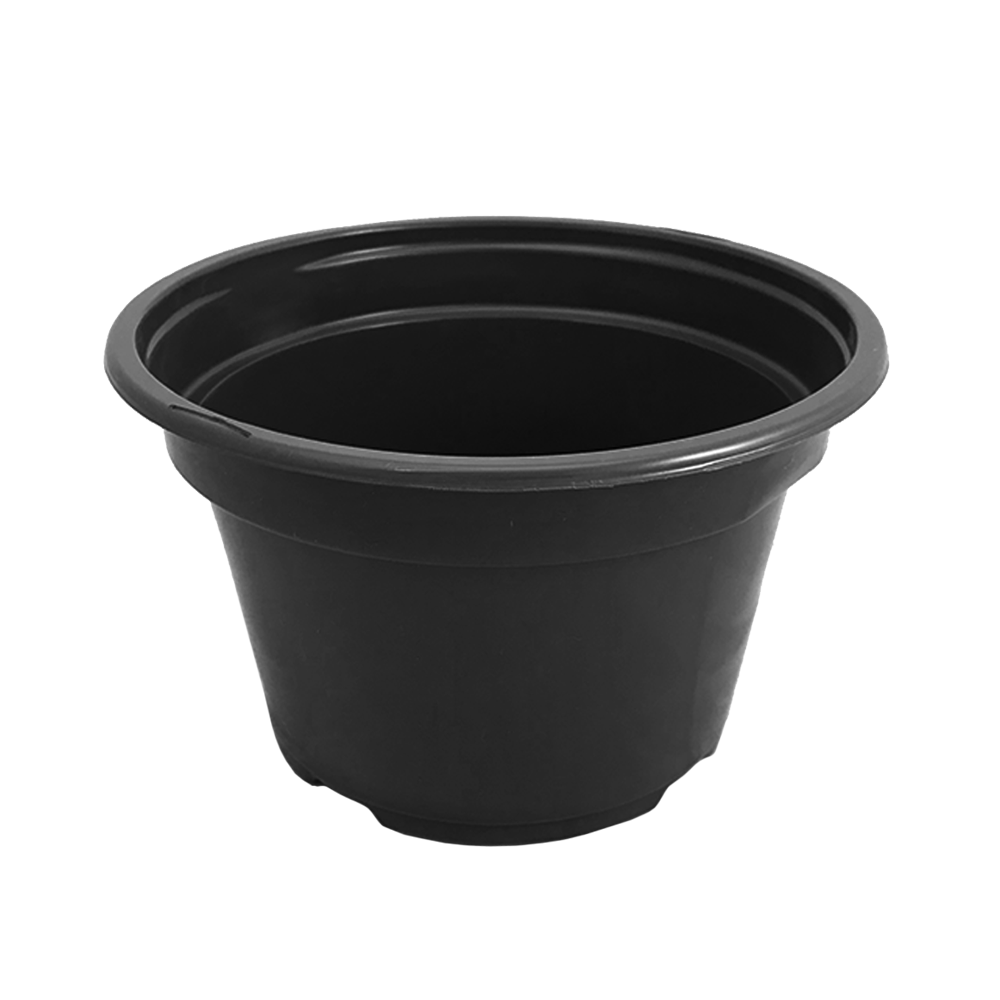 Short 8" Pot