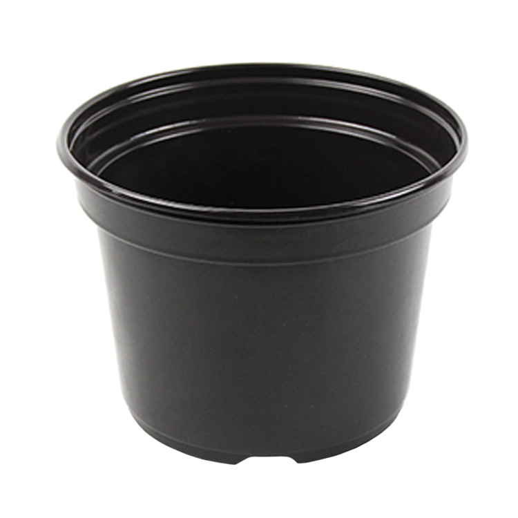 Wide 7.5" Pot