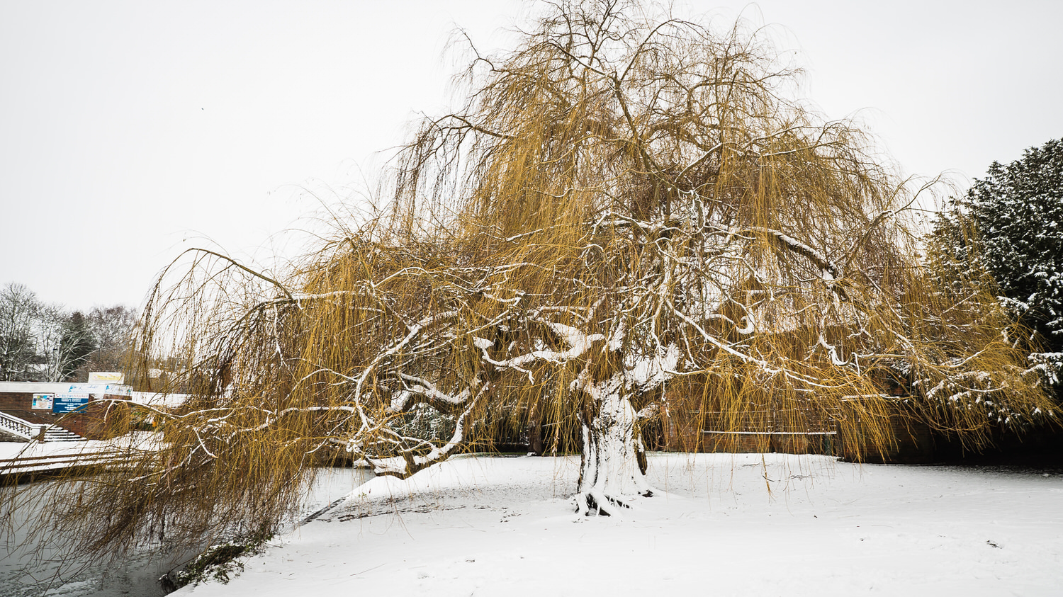  North Hertfordshire Memorial Park and Crematorium Funeral Photographer 