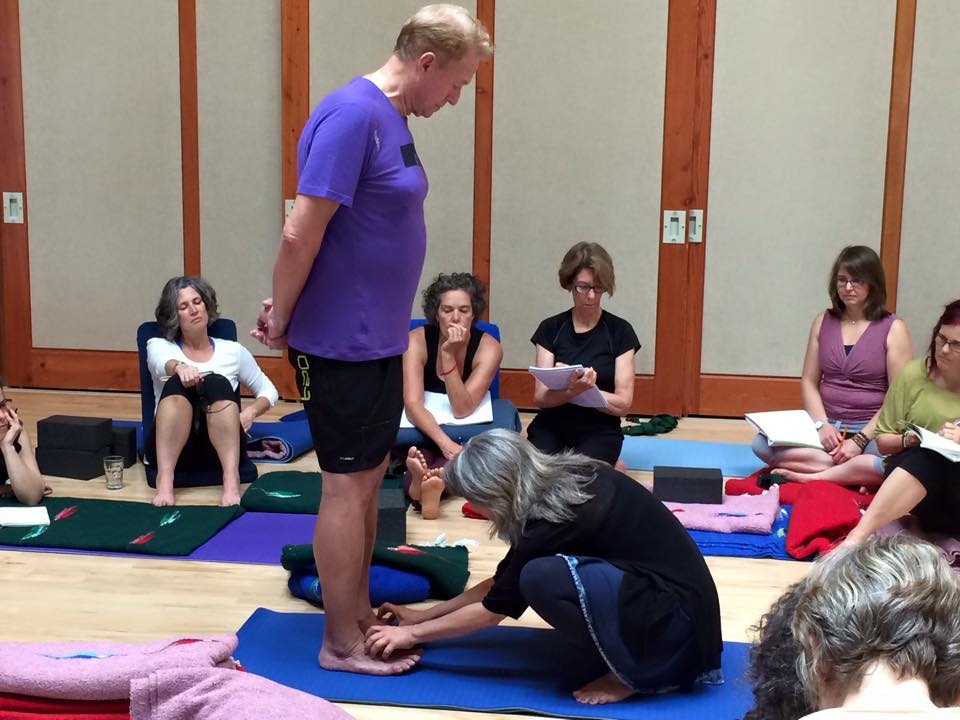  Experiential application for group classes, workshops, series and individualized yoga therapy sessions. 