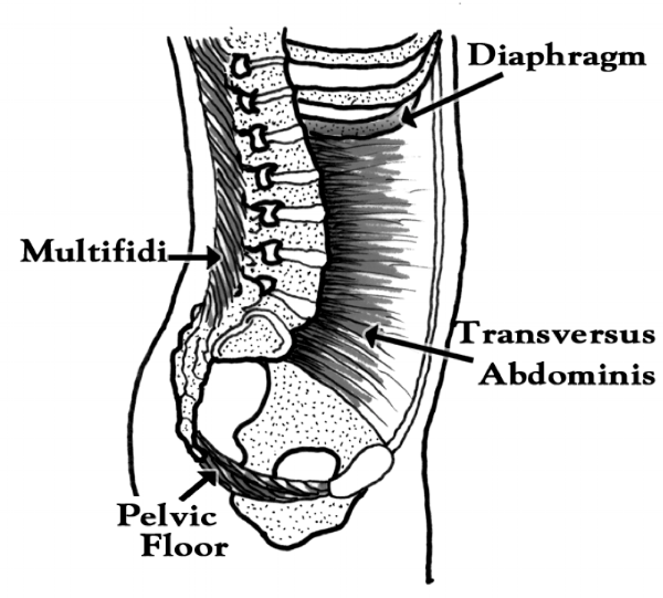 Figure 11.png