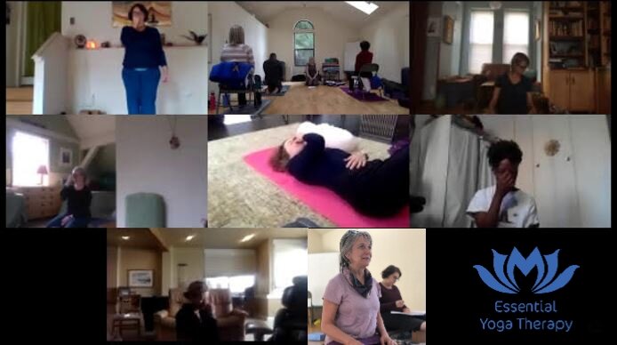 Online Classes Essential Yoga Therapy