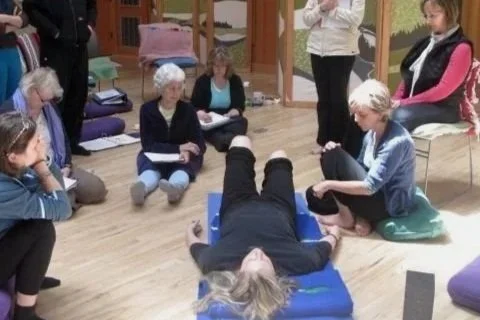 Working with Chronic Low Back Pain: Live Client Observation