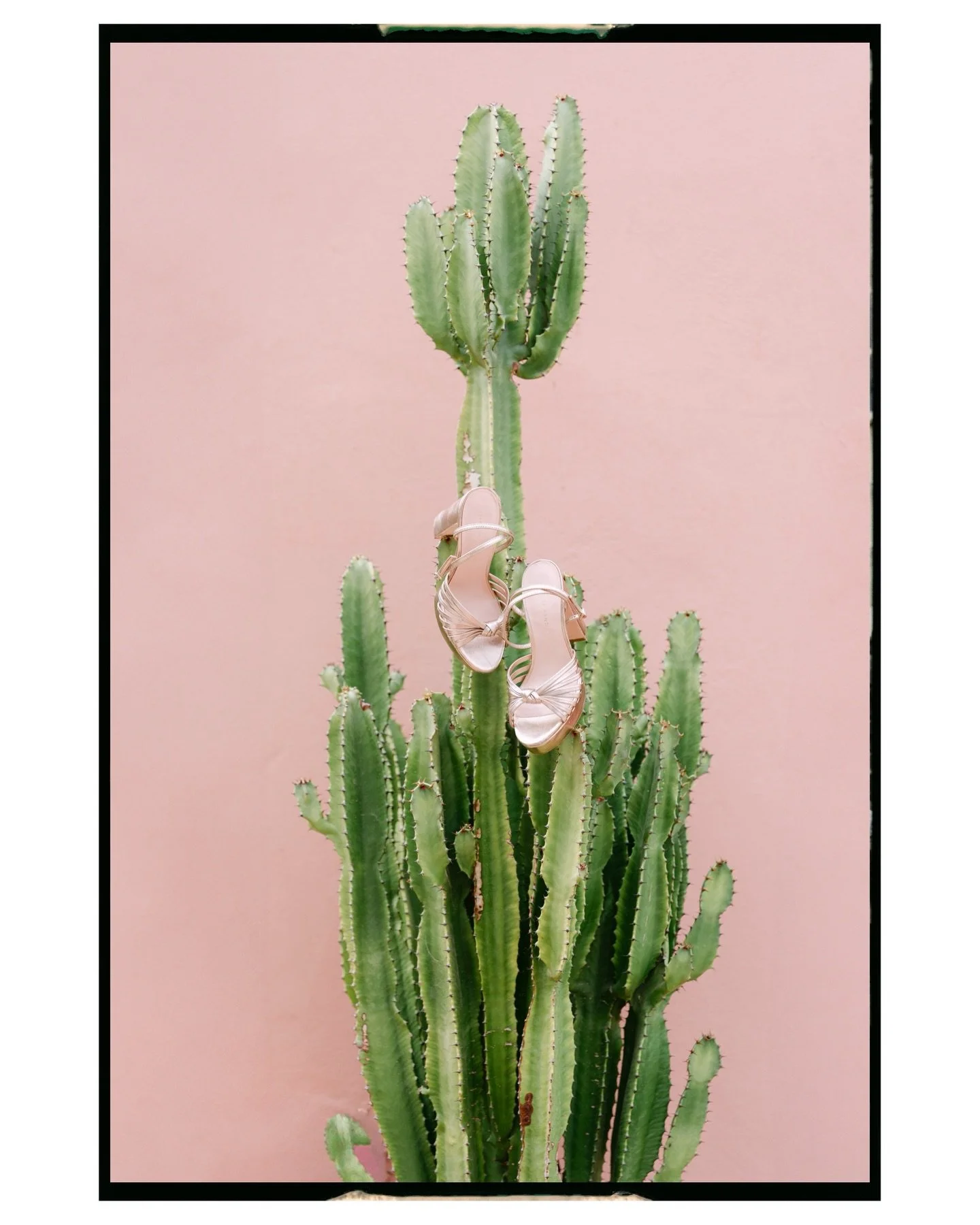 Estee and Dipam&rsquo;s intimate yet luxurious wedding in Marrakesh, was nothing short of spectacular! Here&rsquo;s another selection of some of my favorite frames, captured on digital and 35mm film.

Marrakech wedding / Marrakech wedding photographe