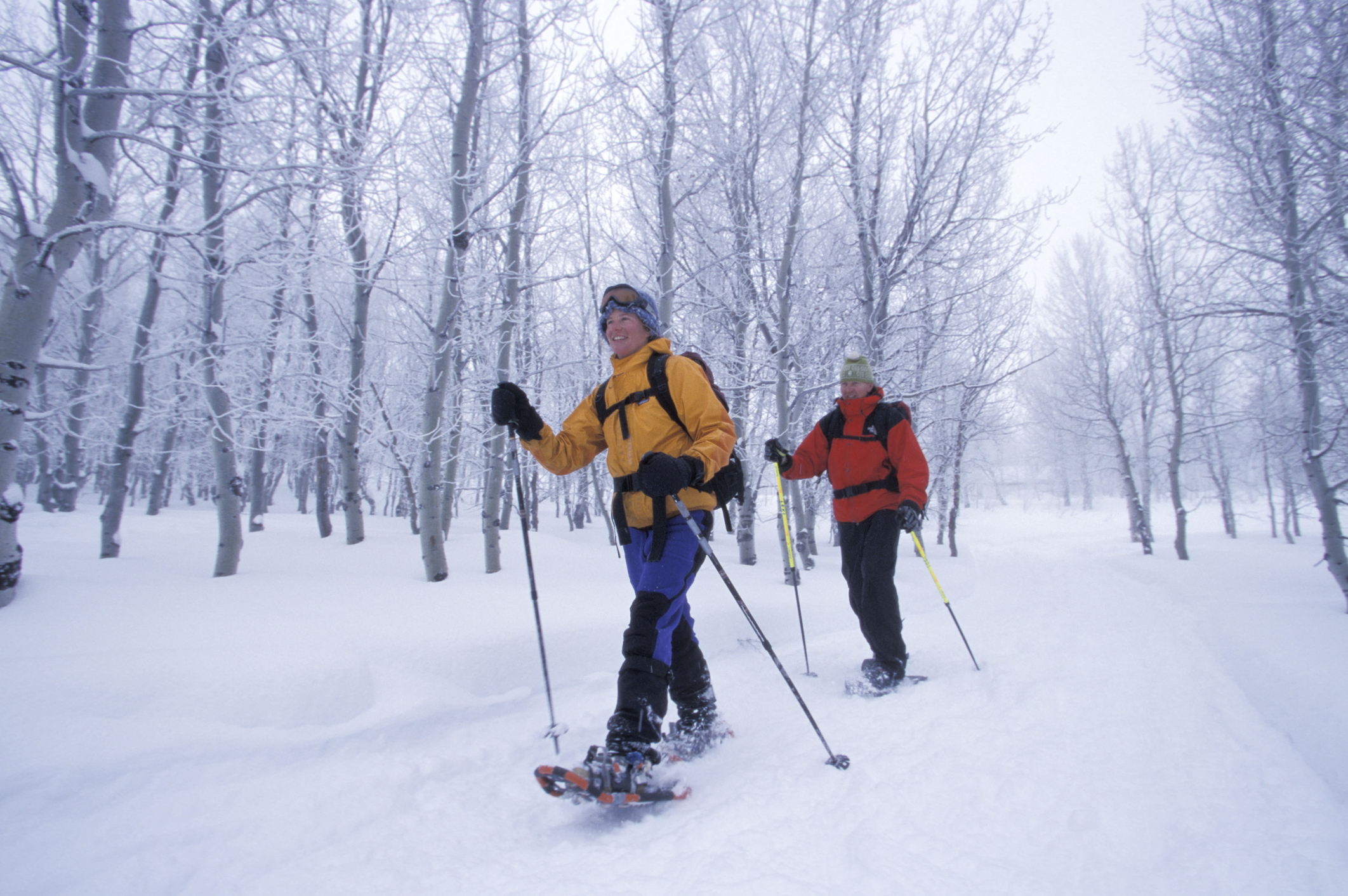 Snowshoeing in Vermont Forests
