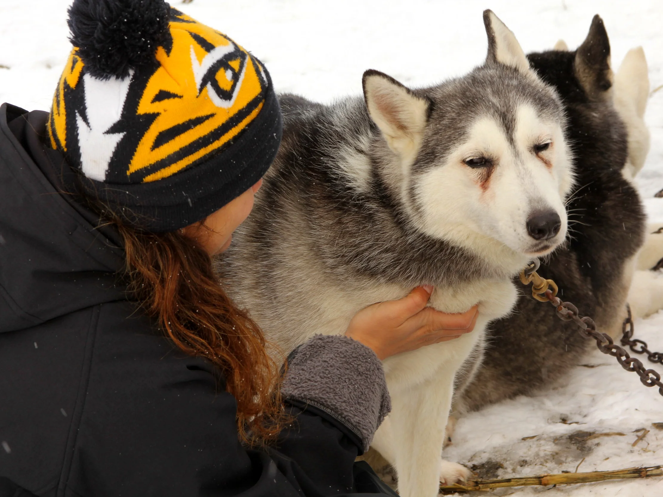 02212019DogSledding-117.jpg
