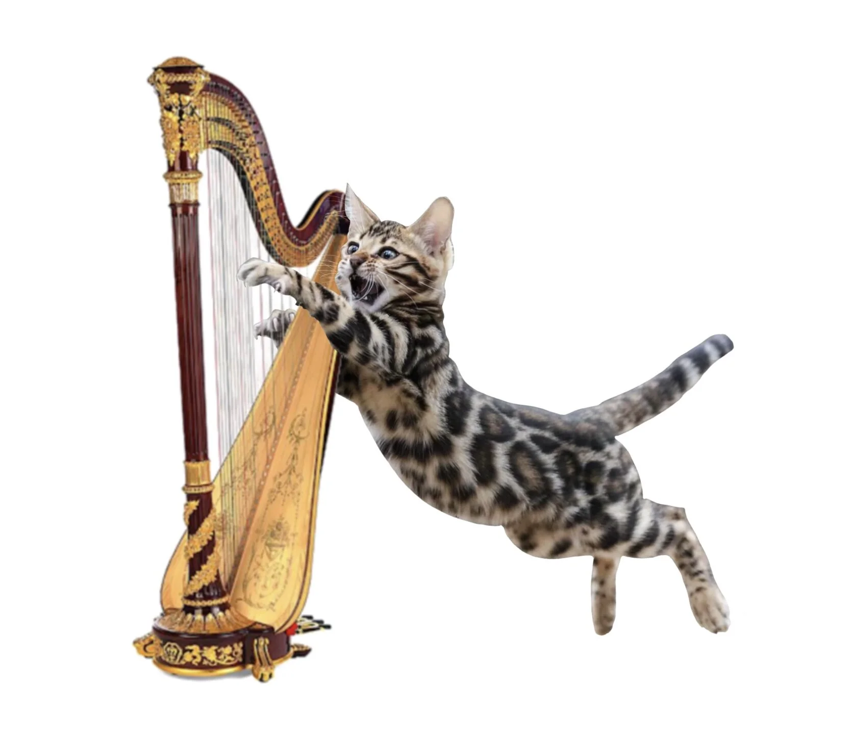 Harp Kitty Sticker