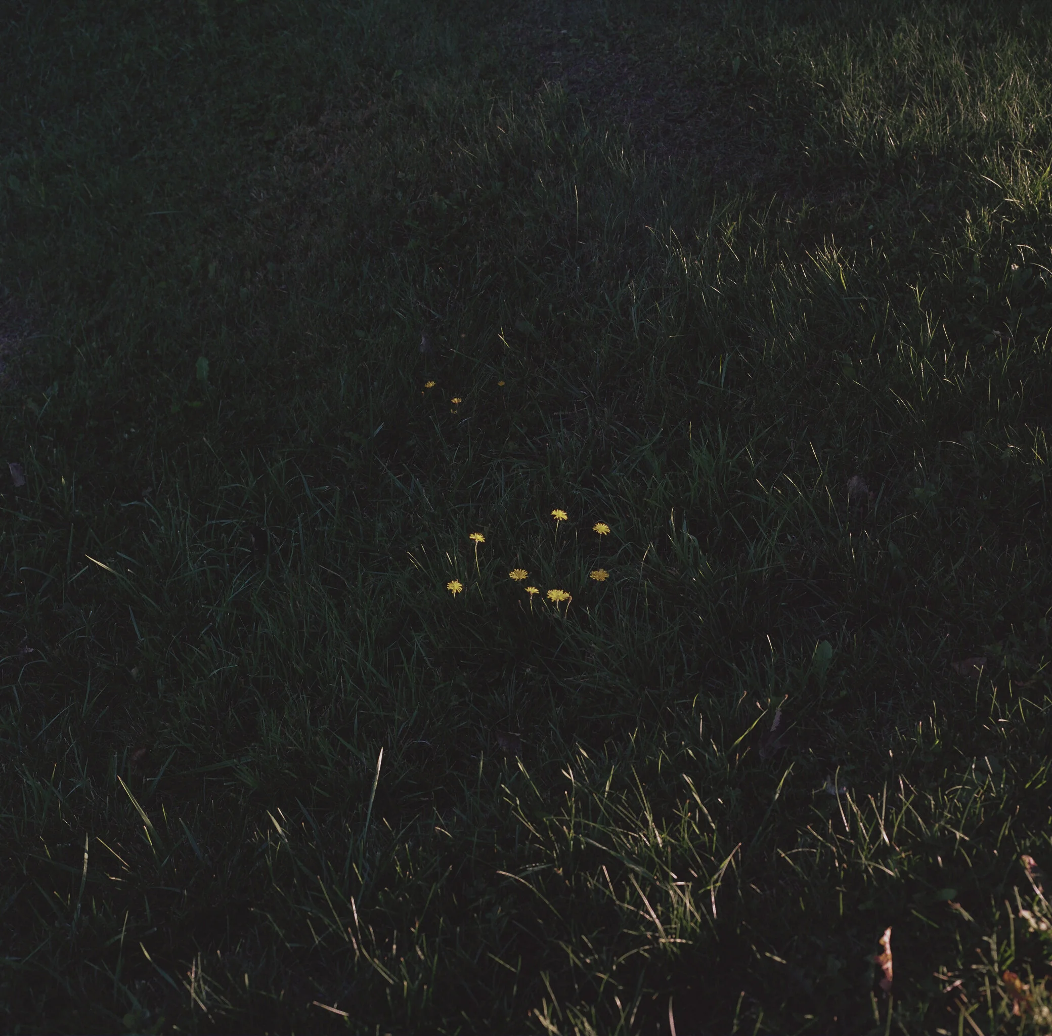 days-10.jpg
