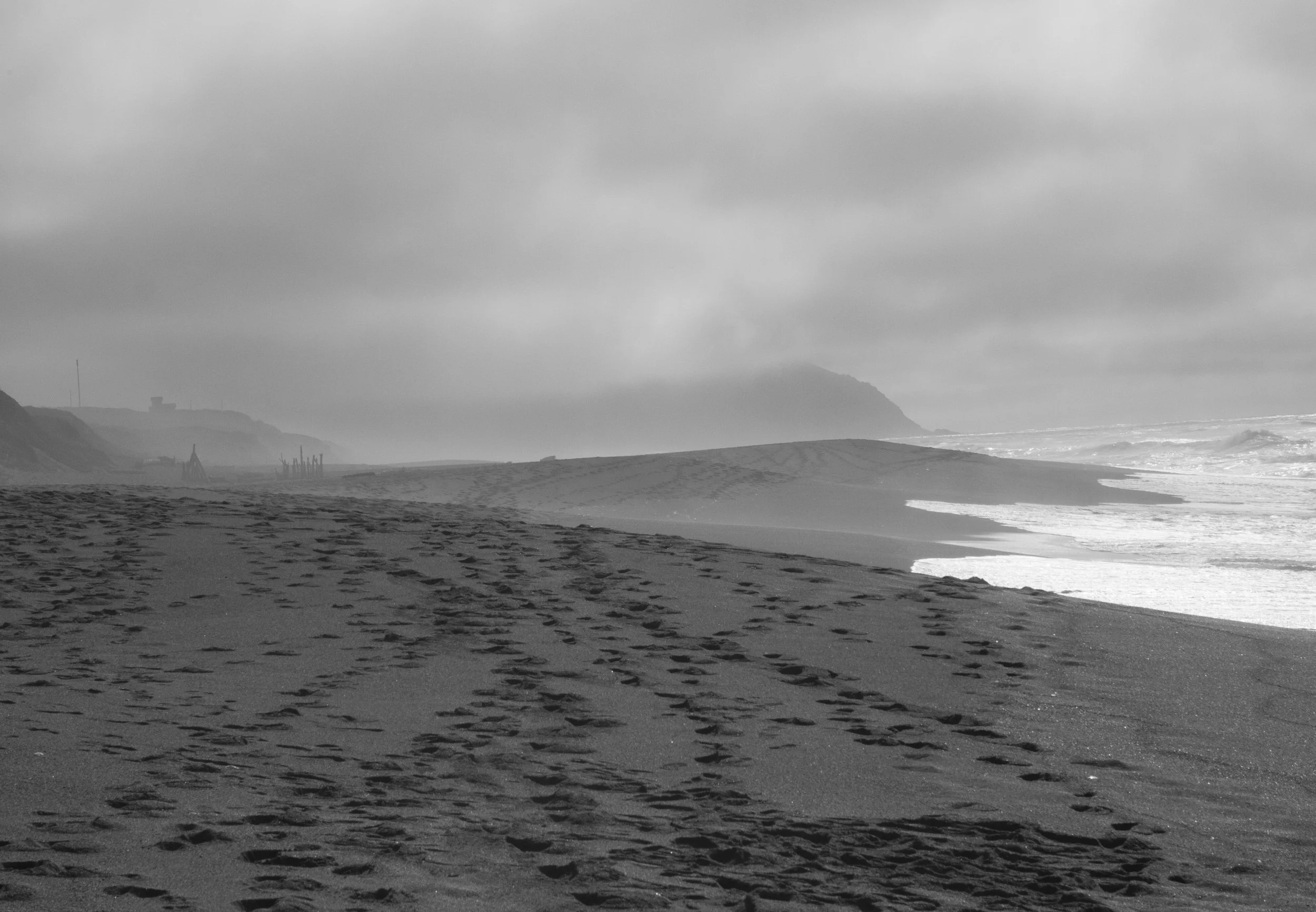 PointReyes_Feb-12.jpg