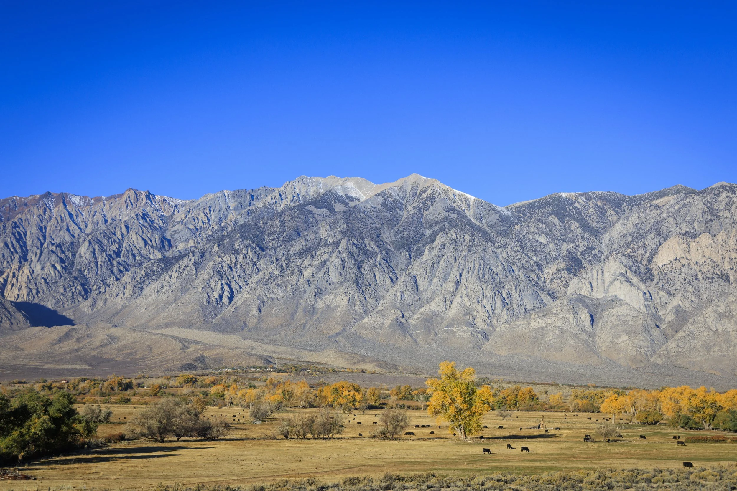 EasternSierrasOct2025-328.jpg