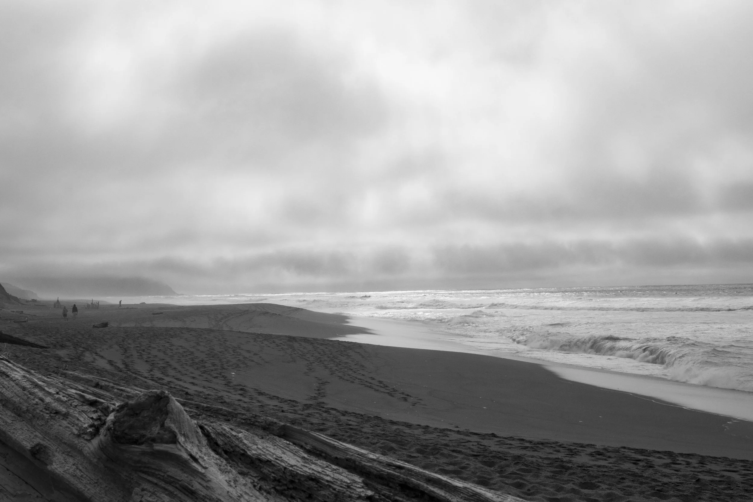 PointReyes_Feb-30.jpg