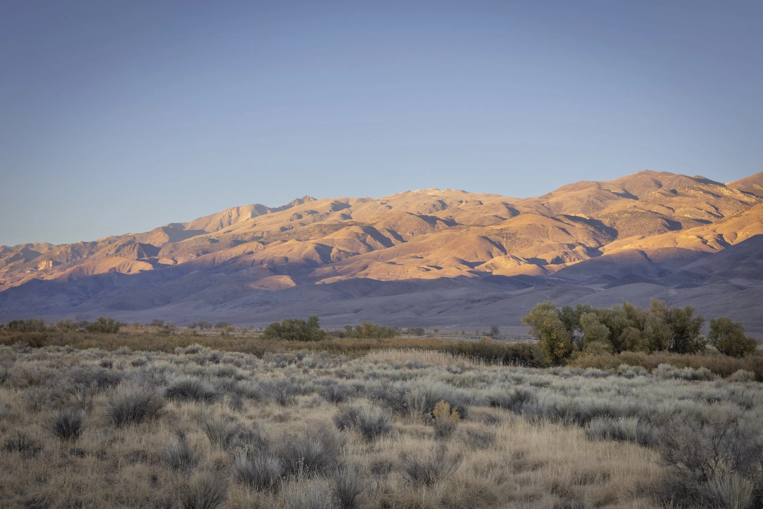 EasternSierrasOct2025-42.jpg