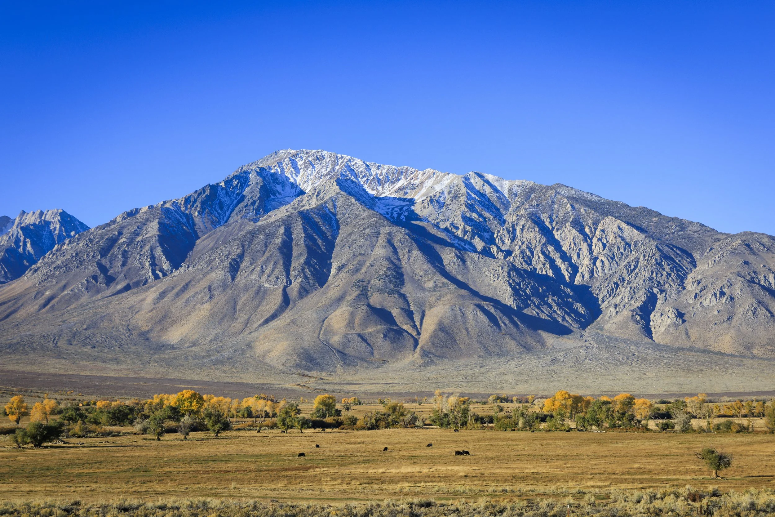 EasternSierrasOct2025-326.jpg