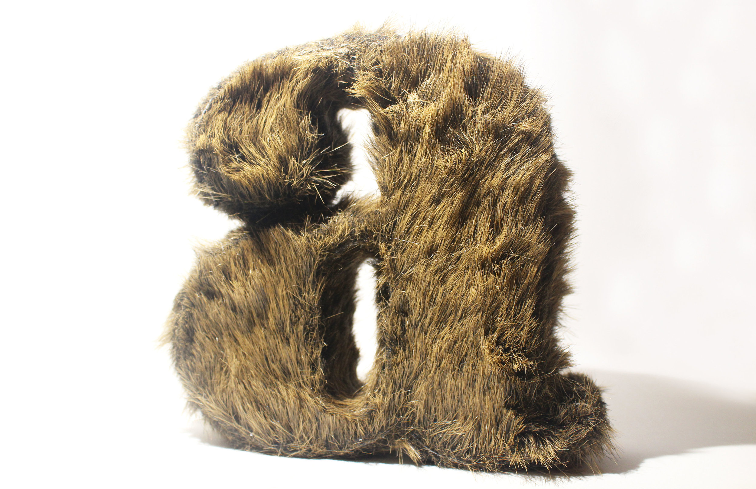 hairy a.jpg