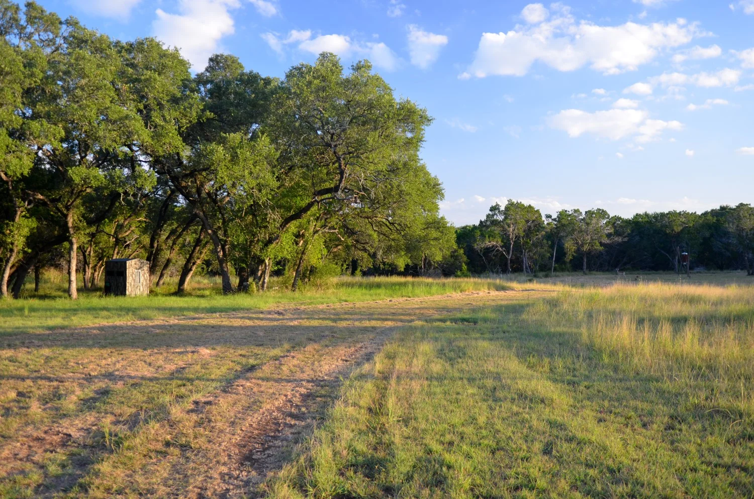 12 acres, New Braunfels — Landmark Properties