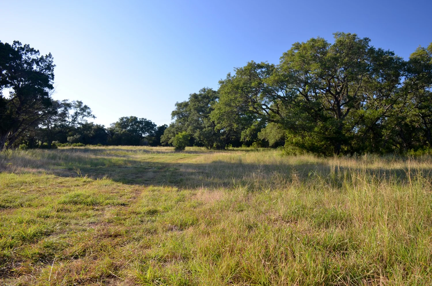12 acres, New Braunfels — Landmark Properties