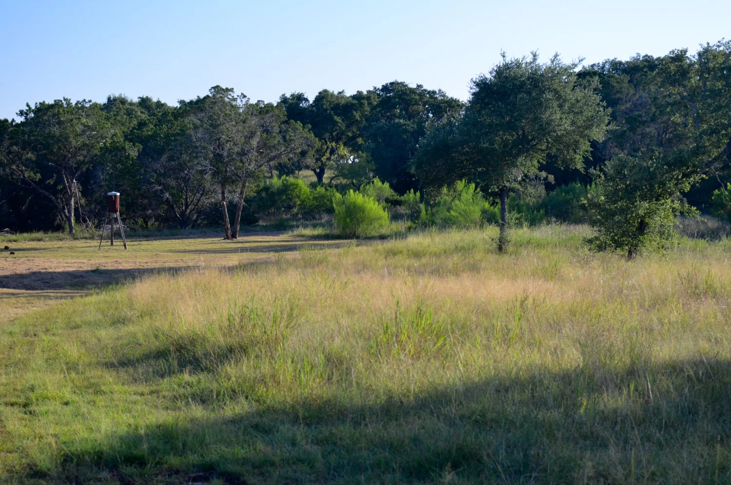 12 acres, New Braunfels — Landmark Properties