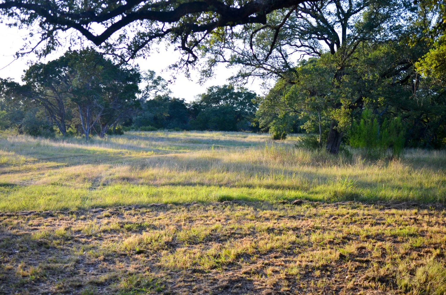 12 acres, New Braunfels — Landmark Properties