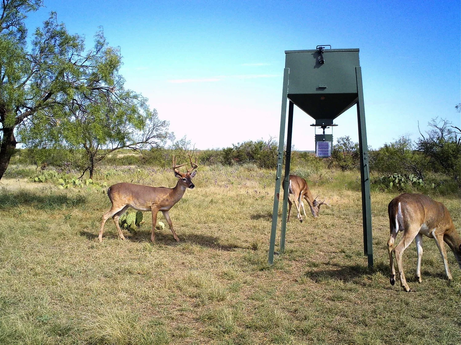 2100 Acres, Concho County — Landmark Properties