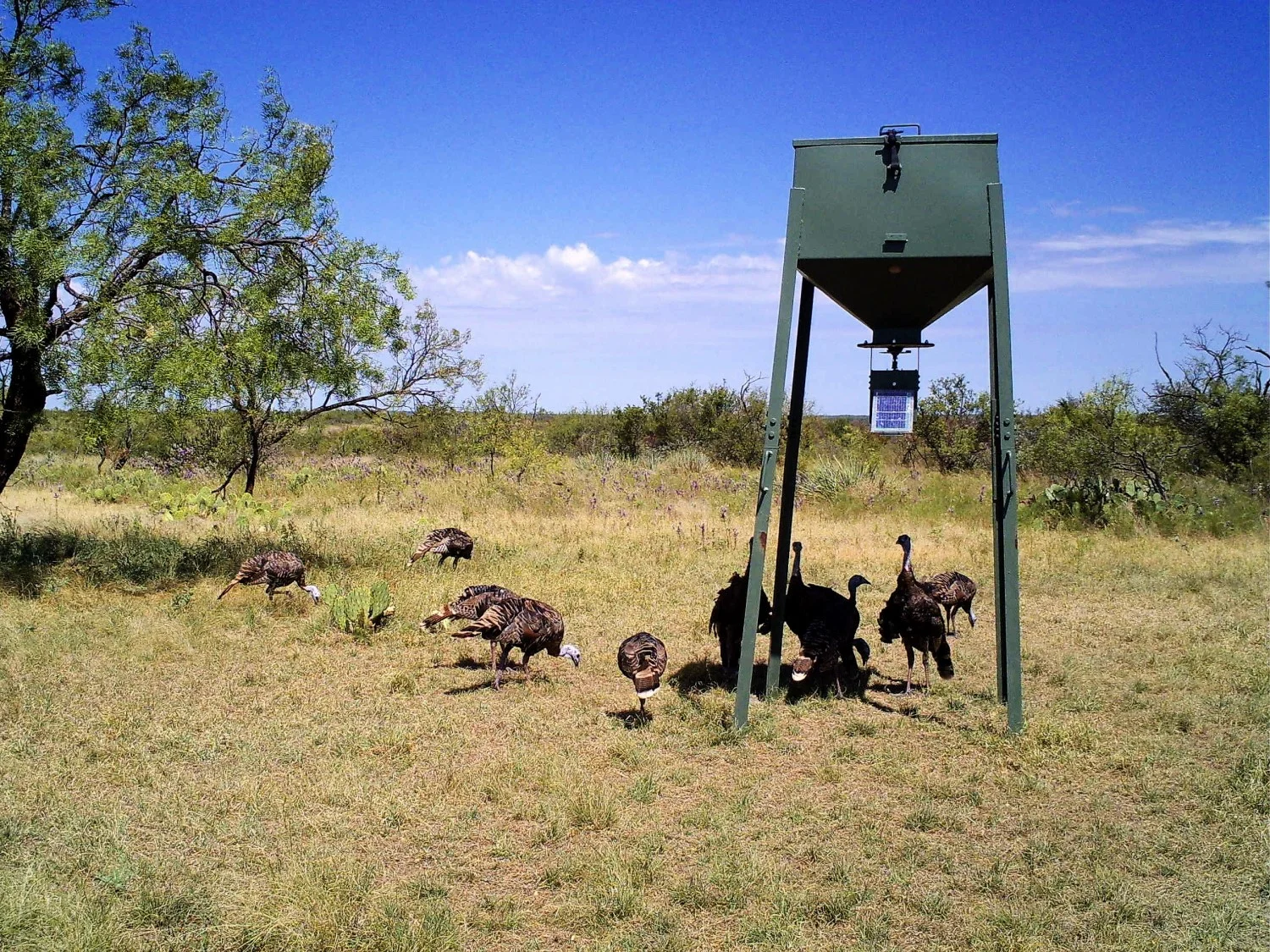 2100 Acres, Concho County — Landmark Properties